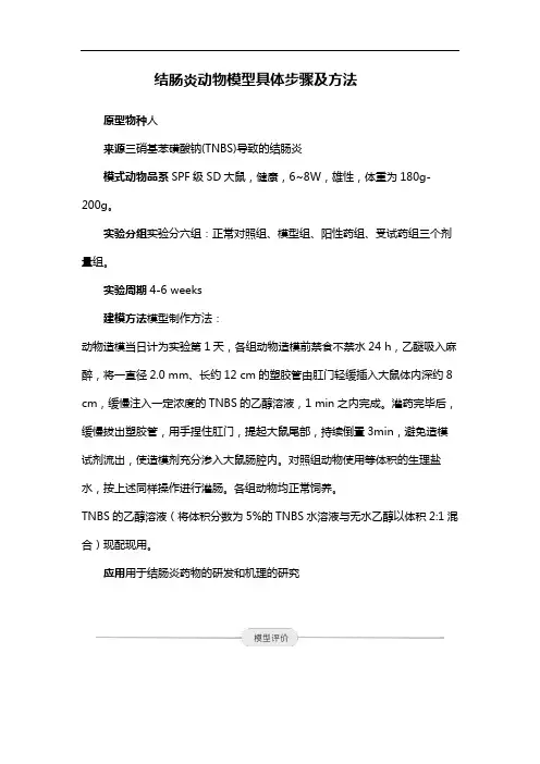 结肠炎动物模型具体步骤及方法
