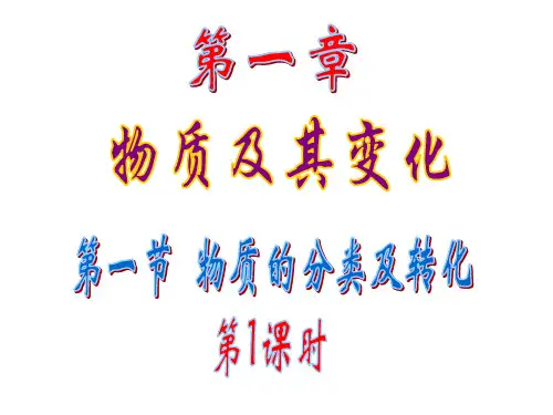 第一章物质及其变化第一节物质的分类及转化1