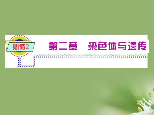 染色体与遗传ppt 浙科版精选教学PPT课件
