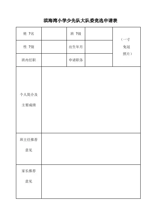 大队委竞选申请表