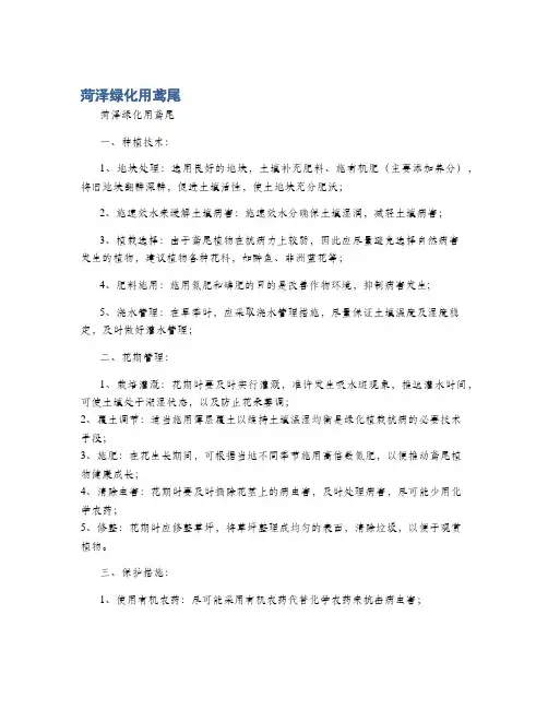菏泽绿化用鸢尾