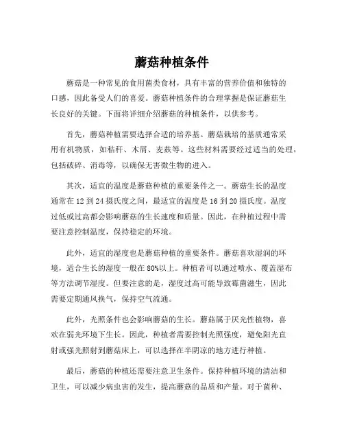 蘑菇种植条件