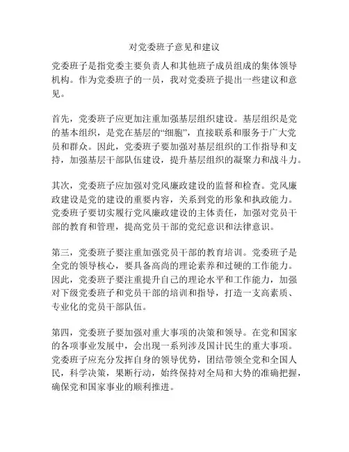 对党委班子意见和建议