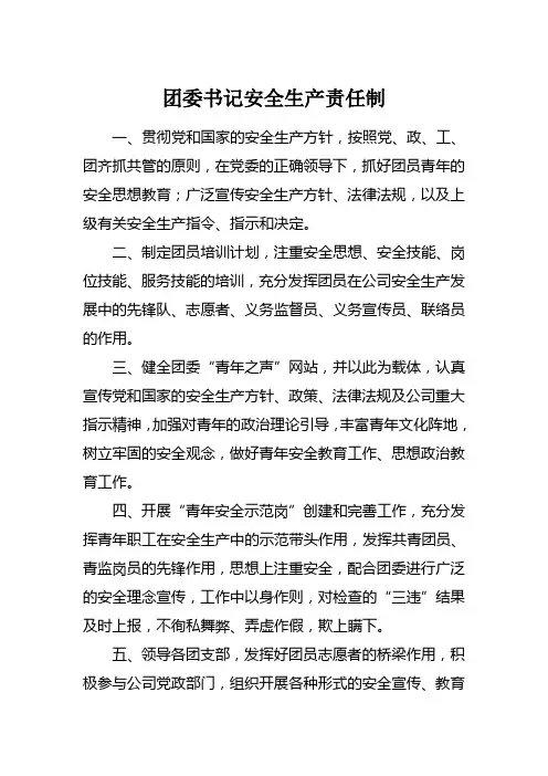 团委书记安全生产责任制