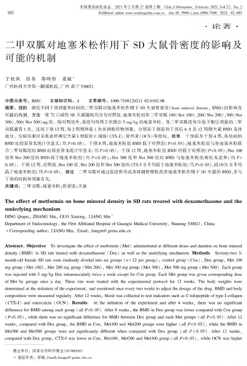 二甲双胍对地塞米松作用下SD大鼠骨密度的影响及可能的机制