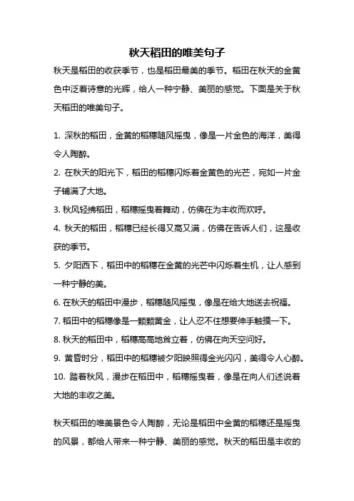 秋天稻田的唯美句子