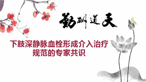 下肢深静脉血栓形成介入治疗规范的专家共识