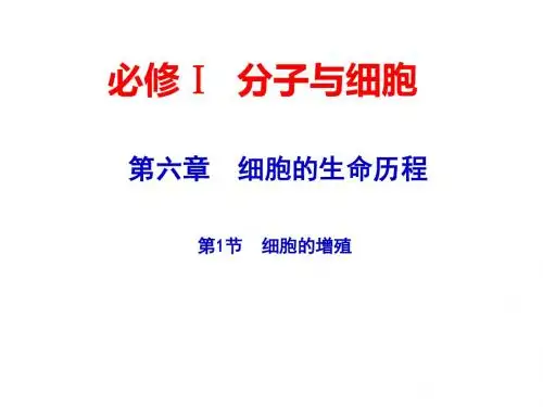 2015届高考生物一轮复习课件：1.4.1 细胞的增殖(人教版)