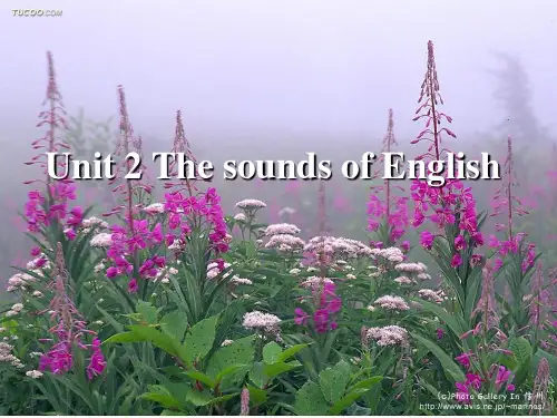 语言学导论 Unit 2 The sounds of English
