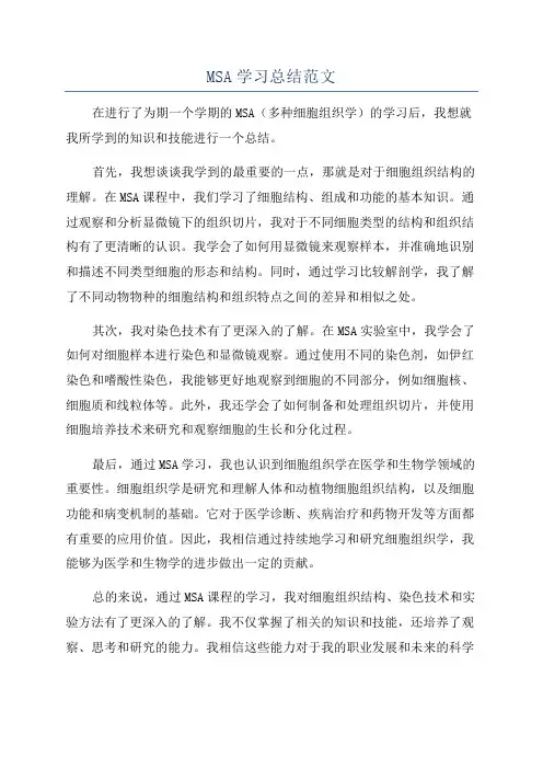 MSA学习总结范文