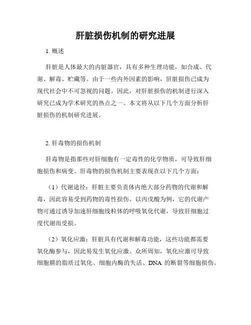 肝脏损伤机制的研究进展