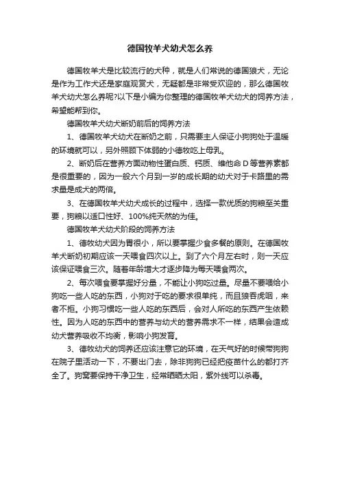 德国牧羊犬幼犬怎么养