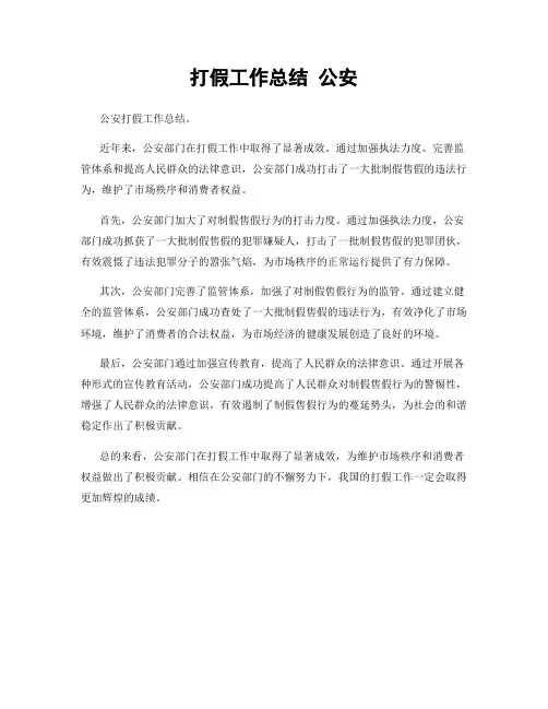 打假工作总结 公安