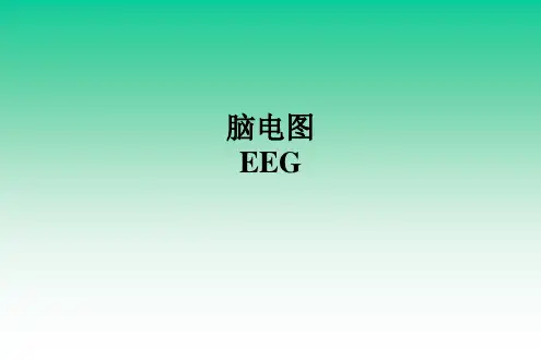 脑电图(EEG)