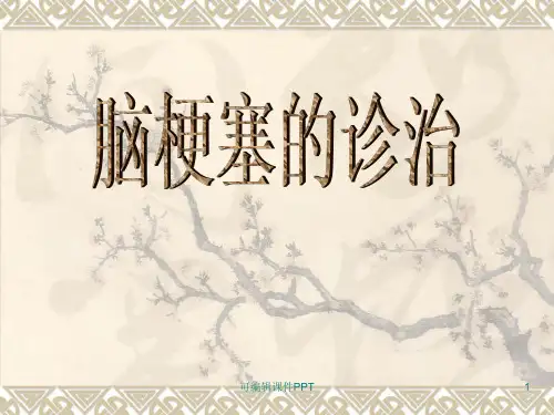 脑梗塞PPT课件