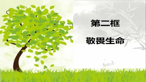 新部编版_敬畏生命课件详解PPT