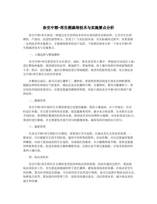 杂交中稻-再生稻栽培技术与实施要点分析