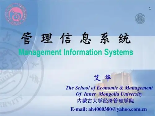 管理信息系统2009艾1