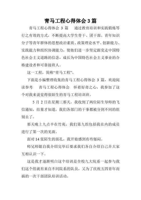 青马工程心得体会3篇.doc