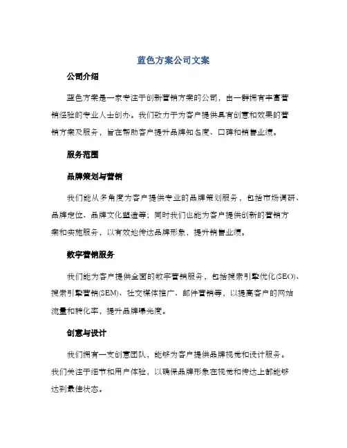 蓝色方案公司文案