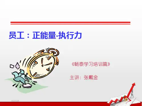 执行力正能量传递总结