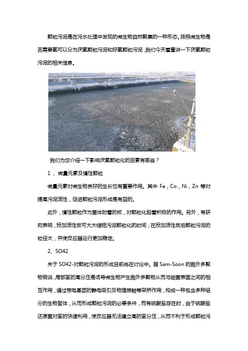 厌氧颗粒污泥哪里好