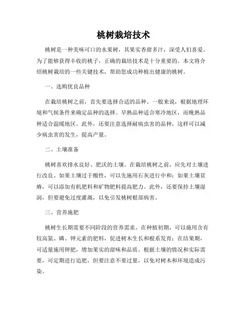 桃树栽培技术
