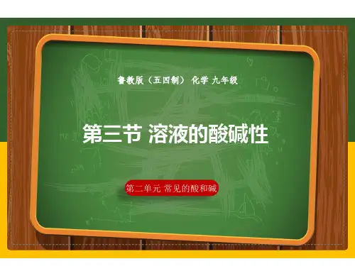 初中化学鲁教版九年级全册(五四学制) 第二单元2.3 溶液的酸碱性(课件)