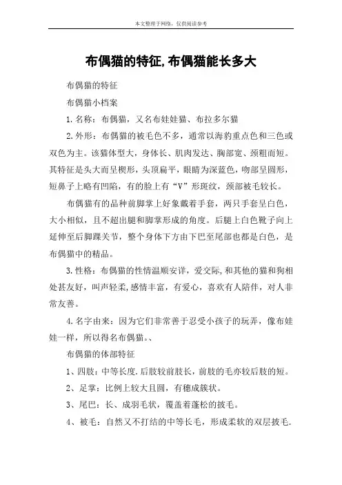 布偶猫的特征,布偶猫能长多大