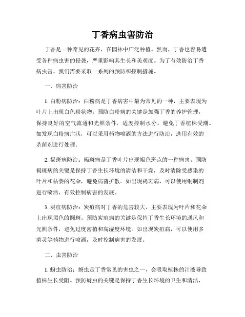 丁香病虫害防治