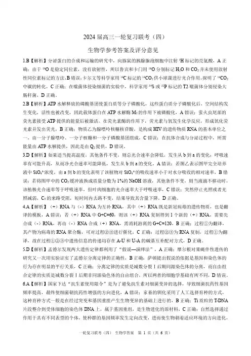百师联盟2024届高三上学期一轮复习联考(四)生物(新教材90分钟)答案