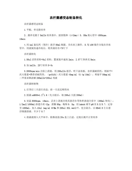 农杆菌感受态制备转化