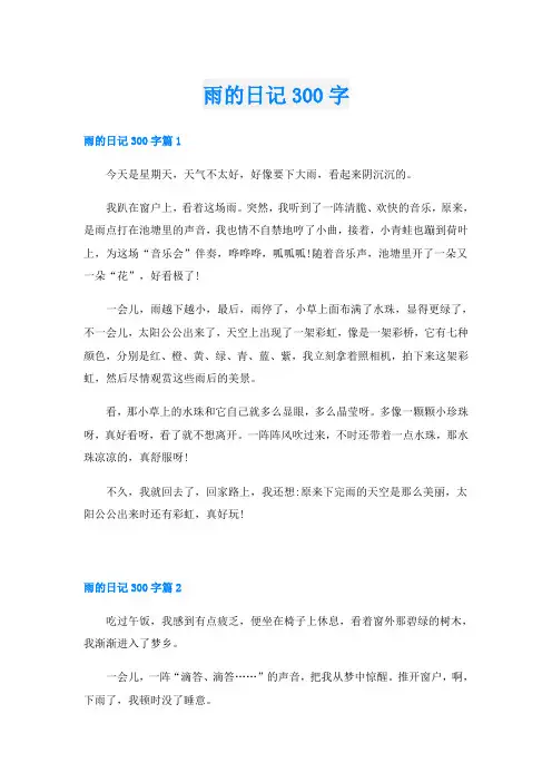 雨的日记300字
