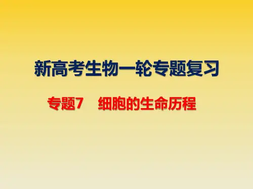 新高考生物一轮专题复习：7 细胞的生命历程