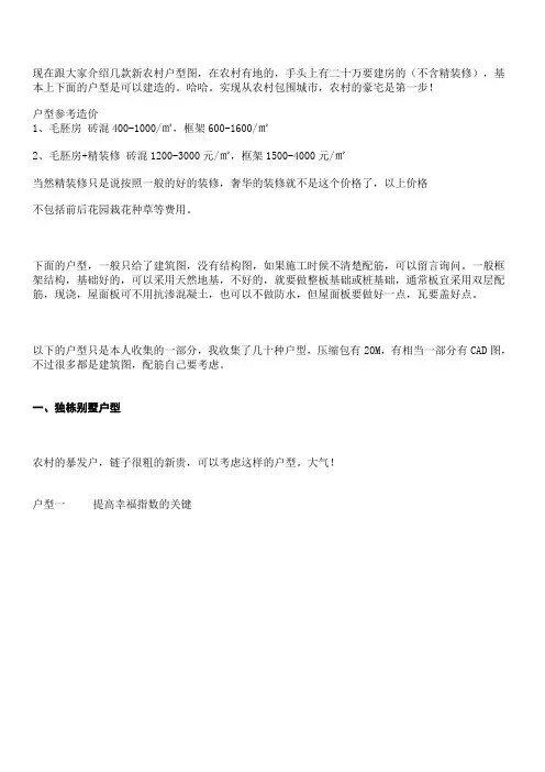 30万元以内乡村小别墅效果图、设计图.docx