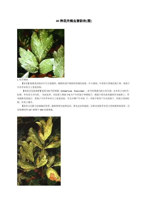 (完整版)图文·40种花卉病虫害防治
