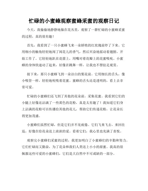 小学三年级作文忙碌的小蜜蜂观察蜜蜂采蜜的观察日记