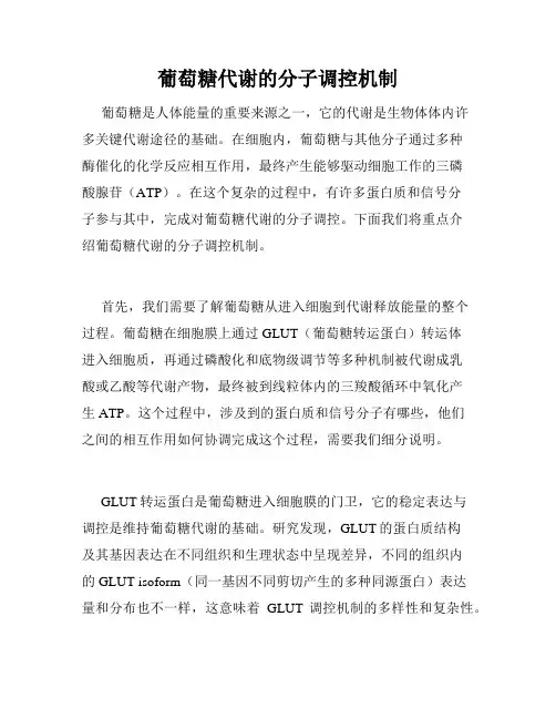 葡萄糖代谢的分子调控机制