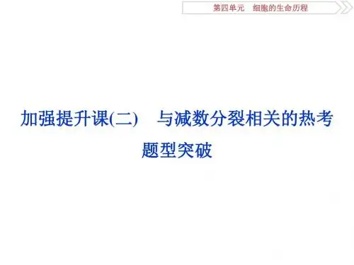 2019届高考生物(人教版)总复习课件：第四单元 细胞的生命历程4 加强提升课(二)