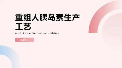 重组人胰岛素生产工艺