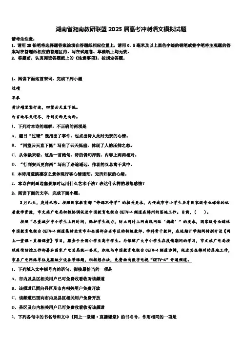 湖南省湘南教研联盟2025届高考冲刺语文模拟试题含解析