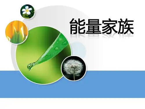 《能量家族》PPT