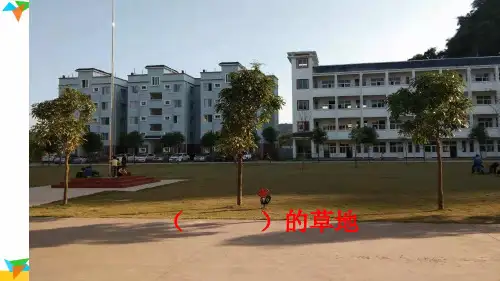 部编小学三年级上册《金色的草地》罗秋琼PPT课件 一等奖新名师优质公开课获奖比赛人教版