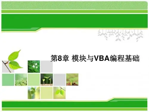 第8章模块与VBA编程基础 169页PPT