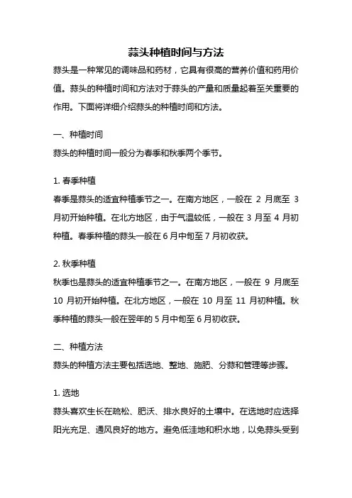 蒜头种植时间与方法