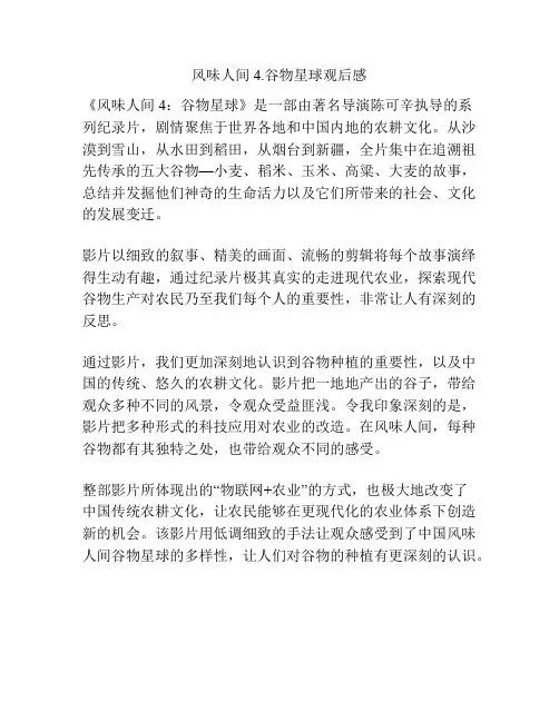 风味人间4·谷物星球观后感