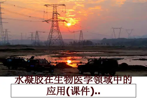 最新水凝胶在生物医学领域中的应用(课件)..ppt课件