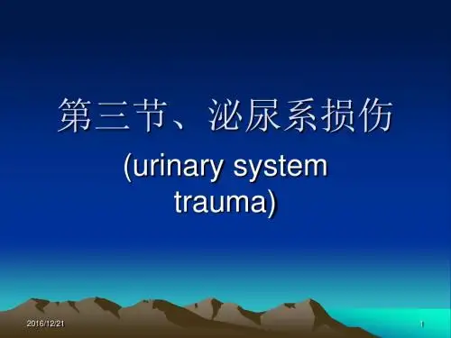 泌尿系统损伤