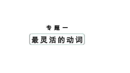 2024长沙中考英语二轮复习 专题一 第4讲 动词的时态(课件)