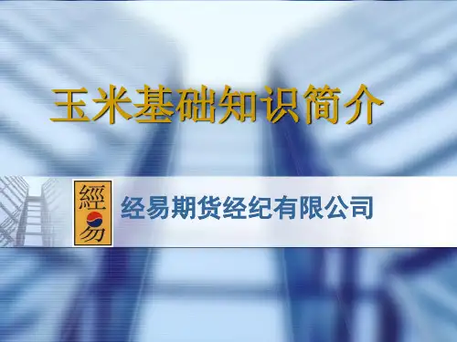 玉米基础知识ppt课件